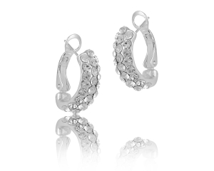Crystal semi-circle earrings (P10971AG)