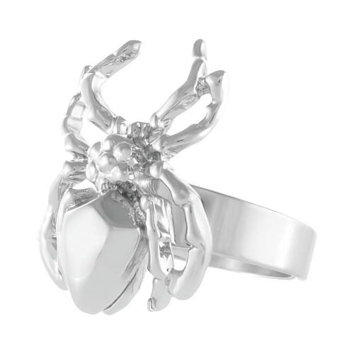 Pierścionek pająk Aria Rockstar Collection (R25/NUT/07AG) - ChatGPT Image 24 lis 2025, 09_01_51.png