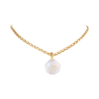 Naszyjnik z kryształową muszlą (C25/JES/195AU) - 9531 (1).jpg